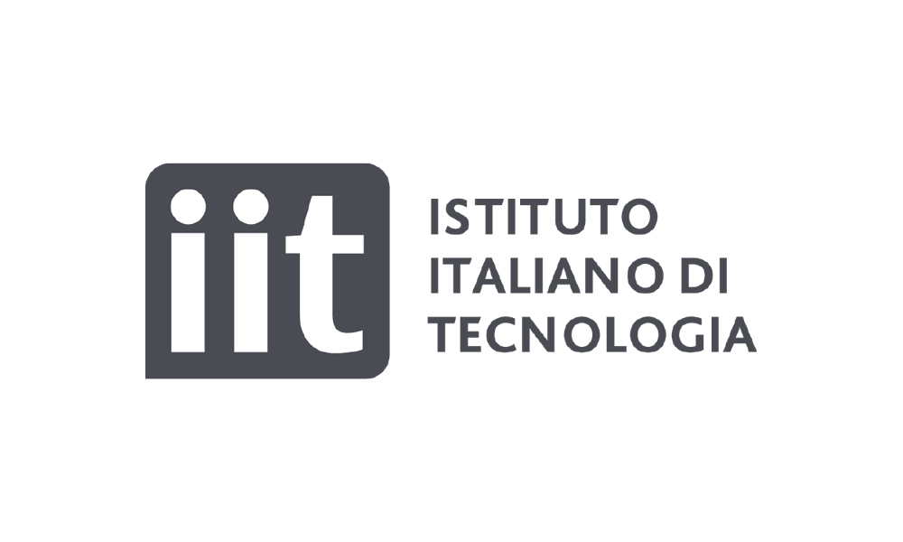 IIT coordinatore